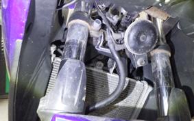 YAMAHA YZF-R25 RG10J