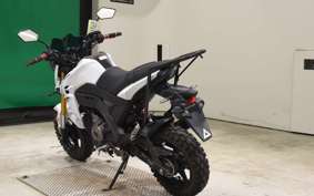 KAWASAKI Z125 PRO 2003 BR125H