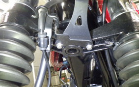 KAWASAKI W800 2022 EJ800E
