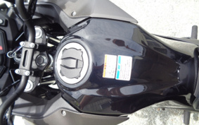 KAWASAKI VERSYS-X 250 TOURER LE250D