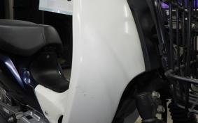 HONDA C110 SUPER CUB 2018 JA10