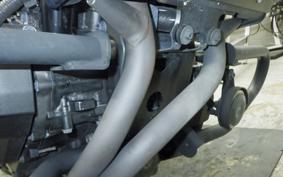 HONDA REBEL 1100 DCT 2021 SC83