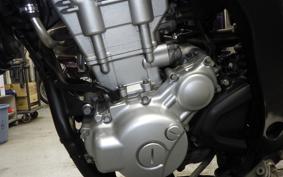 YAMAHA WR250X 2019 DG15J