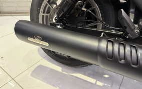 HARLEY RH975S NIGHT STAR 2025 ZF1