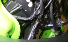 KAWASAKI NINJA 250R EX250K