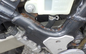 KAWASAKI SUPER SHERPA KL250G