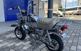 HONDA GORILLA SPRING COLLECTION Z50J