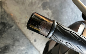 SUZUKI DL1000 ( V-Strom 1000 ) 2016 VU51A