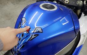 SUZUKI GSX-R1000 2010