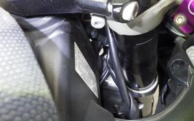 YAMAHA YZF-R1 2007