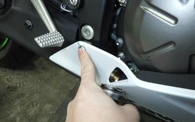 KAWASAKI NINJA ZX-6R A 2021 ZX636G