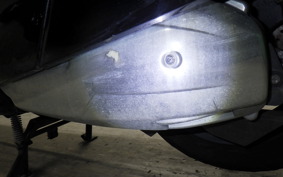 YAMAHA MAXAM 250 SG21J