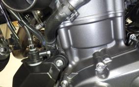 YAMAHA MT-07 2024 RM33J