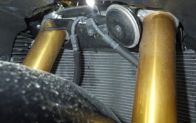 YAMAHA YZF-R1 2010 RN24J