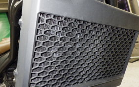 HONDA REBEL 250 S 2016 MC49