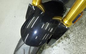 BMW G310R 2023
