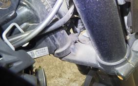 KAWASAKI Z125 PRO 2020 BR125H