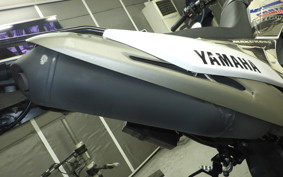 YAMAHA WR250X 2025 DG15J