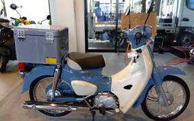 HONDA  SUPER CUB 50 FINAL ED AA09