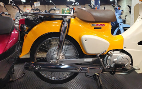 HONDA SUPER CUB50 AA09