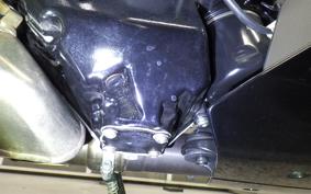 DUCATI DIAVEL 1260 S 2019