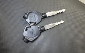 HONDA ZOOMER-X 2017 JF52