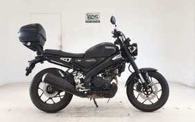 YAMAHA XSR155