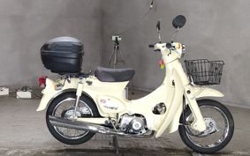 HONDA LITTLE CUB C50