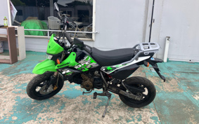 KAWASAKI KSR110 KL110D