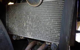 KAWASAKI NINJA 250 EX250L