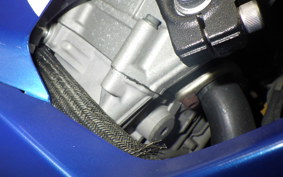 SUZUKI GSX-R1000 2006