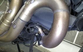 DUCATI MONSTER 821 2015