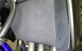 KAWASAKI ZRX1200 D 2011 ZRT20D