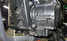 HONDA REBEL 250 A 2024 MC49
