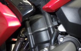 TRIUMPH DAYTONA 660 2024