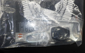 HARLEY FLHXU1920 2025