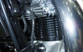 KAWASAKI W800 2026 EJ800E