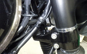 KAWASAKI W800 CAFE 2019 EJ800B