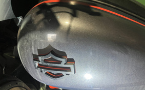 HARLEY  HARLEY FLHXSE CVO 2018 PXL