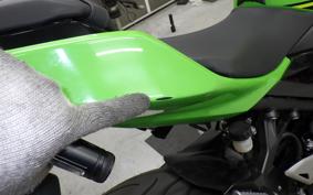 KAWASAKI NINJA 400 2019 EX400G