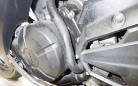 KAWASAKI NINJA 250 EX250L