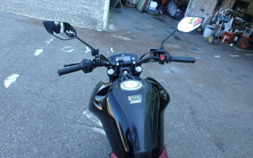 YAMAHA FZS FI RG66