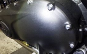 TRIUMPH SPEED TWIN 900 2023