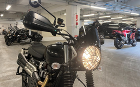 TRIUMPH SCRAMBLER STEREO RUSUED 2024 DAD78G