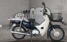 HONDA SUPER CUB110 JA10