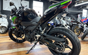 KAWASAKI Z250 EX250Y