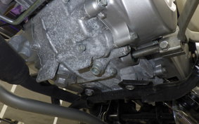 HONDA C50 SUPER CUB 2025 AA09