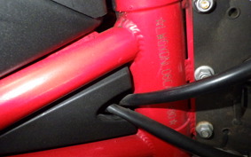 OTHER メガリ 250R
