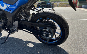 SUZUKI GSX250 R DN11A