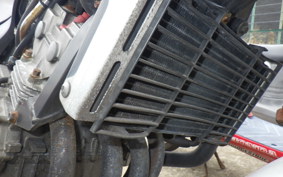 HONDA HORNET 250 MC31